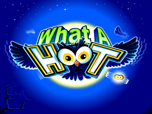 واٹ اے ہوٹ game thumbnail
